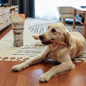 amazon köpek maması fotoğraf çekimi